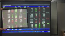 dnp Optical Screen [LG : Low Gain] vs Normal Screen