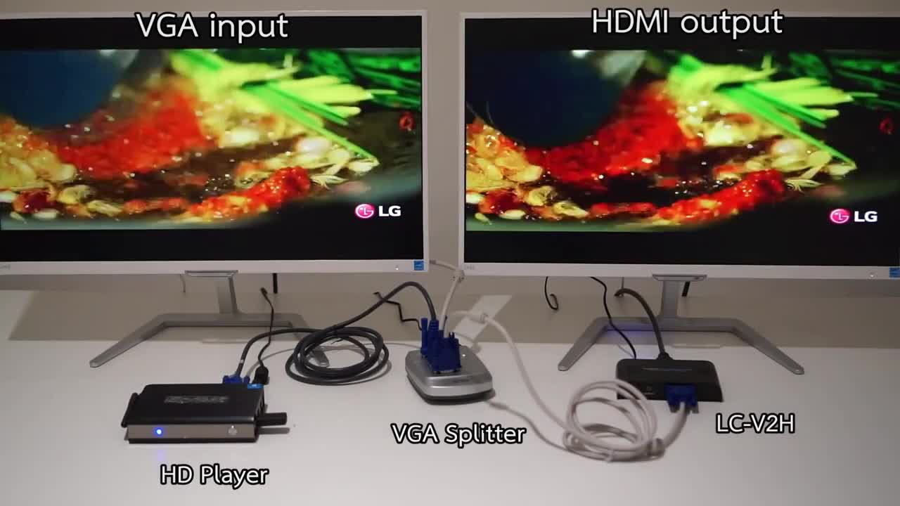 VGA  HDMI  LC-V2H