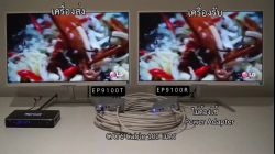 HDMI  NEXIS EP9100T / R  100m