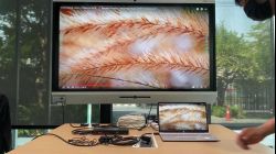 VS381B+HSP108E+ET4870X:Test 4K 50m